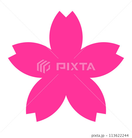 Sakura illustration, pink, sakura, icon, flower - Stock