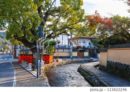 秋の京都　社家町　藤木社と明神川 113622246