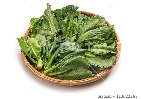 秋田県の野菜、ふくたち 秋田県の野菜、ふくたち 113622265