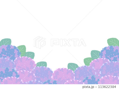 紫陽花のフレームイラスト 113622384