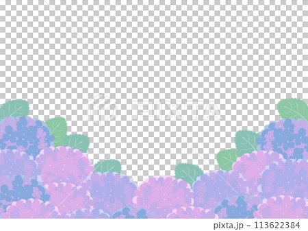 紫陽花のフレームイラスト 113622384