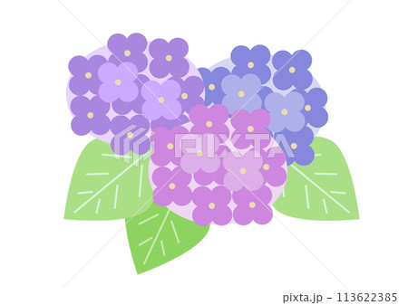 紫陽花のアイコンイラスト 113622385