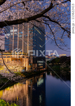 東京　千鳥ヶ淵の桜の夜景 　九段会館 113622413