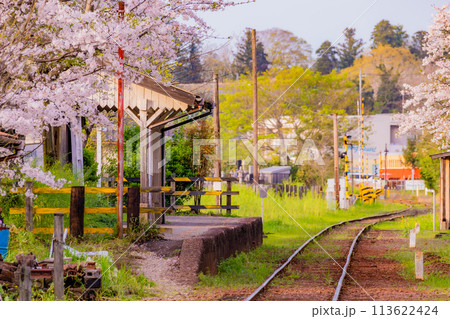 千葉の小湊鐵道と春の桜 レトロな駅 千葉の小湊鐵道と春の桜 レトロな駅 113622424