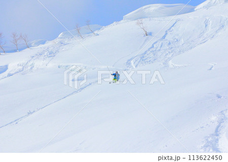 バックカントリースキー バックカントリースキー 113622450