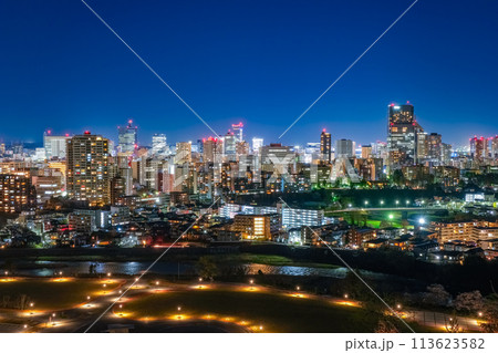 宮城県仙台市 仙台城跡から眺める仙台市の夜景 113623582