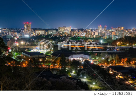 宮城県仙台市 仙台城跡から眺める仙台市の夜景 113623583