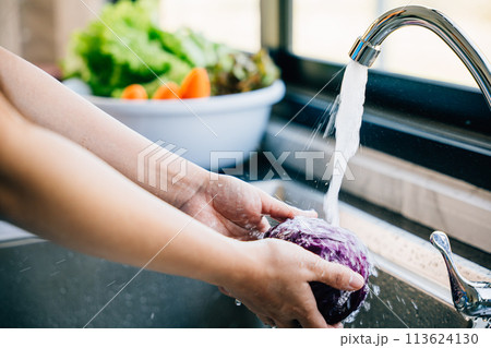 Freshness in homemade food, Woman washes fresh vegetables under running water in a modern kitchen sink for a vegan salad. Emphasizing cleanliness and healthy eating habits. Freshness in homemade food, Woman washes fresh vegetables under running water in a modern kitchen sink for a vegan salad. Emphasizing cleanliness and healthy eating habits. 113624130