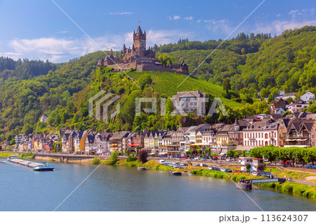 View of Cochem, Germany 113624307