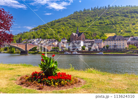 View of Cochem, Germany 113624310