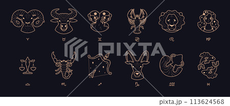 Zodiac and astrology signs, set of line art vector illustrations on black Zodiac and astrology signs, set of line art vector illustrations on black 113624568