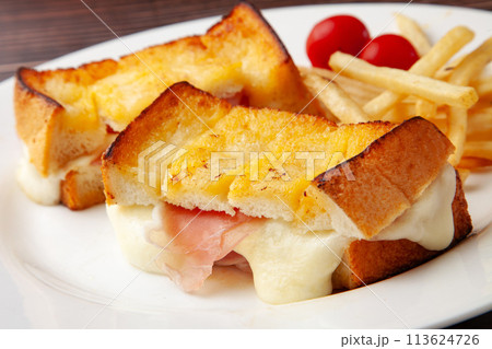 モッツァレッラチーズと生ハムのホットサンド モッツァレッラチーズと生ハムのホットサンド 113624726