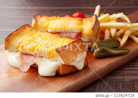 モッツァレッラチーズと生ハムのホットサンド 113624728