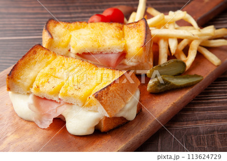 モッツァレッラチーズと生ハムのホットサンド モッツァレッラチーズと生ハムのホットサンド 113624729