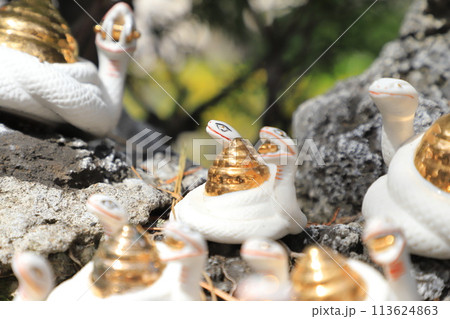 柴又帝釈天(帝釈天題経寺) 双頭の白蛇 柴又帝釈天(帝釈天題経寺) 双頭の白蛇 113624863