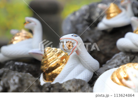 柴又帝釈天（帝釈天題経寺）　双頭の白蛇 113624864