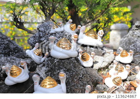 柴又帝釈天（帝釈天題経寺）　双頭の白蛇 113624867