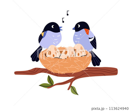 Parent birds serenade at nest vector illustration 113624940