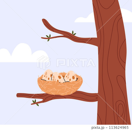 Nest with spotted eggs on the tree branch, vector cartoon bird house on the wood, nature wildlife, nestling Nest with spotted eggs on the tree branch, vector cartoon bird house on the wood, nature wildlife, nestling 113624965