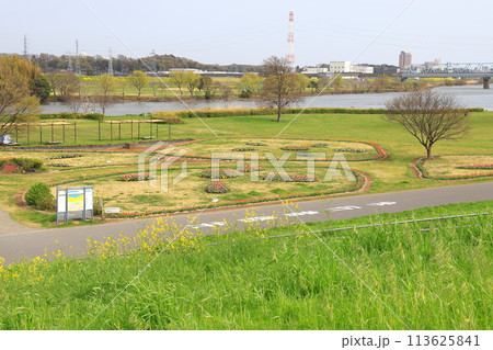 江戸川の河川敷にある「柴又公園」 113625841
