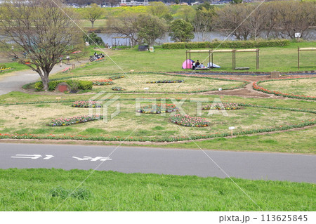 江戸川の河川敷にある「柴又公園」 江戸川の河川敷にある「柴又公園」 113625845