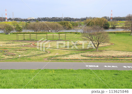 江戸川の河川敷にある「柴又公園」 113625846