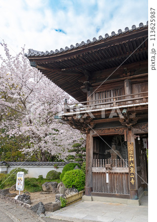 【第1番札所】桜咲く霊山寺　仁王門【四国八十八箇所】 113625987