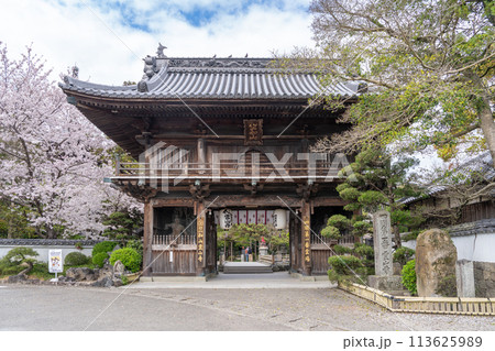 【第1番札所】桜咲く霊山寺　仁王門【四国八十八箇所】 113625989