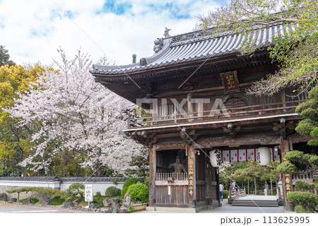【第1番札所】桜咲く霊山寺 仁王門【四国八十八箇所】 【第1番札所】桜咲く霊山寺 仁王門【四国八十八箇所】 113625995