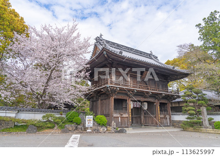 【第1番札所】桜咲く霊山寺 仁王門【四国八十八箇所】 【第1番札所】桜咲く霊山寺 仁王門【四国八十八箇所】 113625997