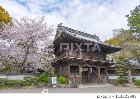 【第1番札所】桜咲く霊山寺 仁王門【四国八十八箇所】 【第1番札所】桜咲く霊山寺 仁王門【四国八十八箇所】 113625998