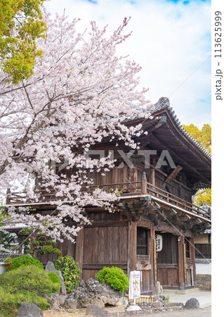 【第1番札所】桜咲く霊山寺　仁王門【四国八十八箇所】 113625999