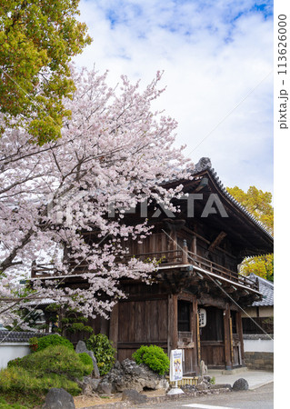 【第1番札所】桜咲く霊山寺　仁王門【四国八十八箇所】 113626000
