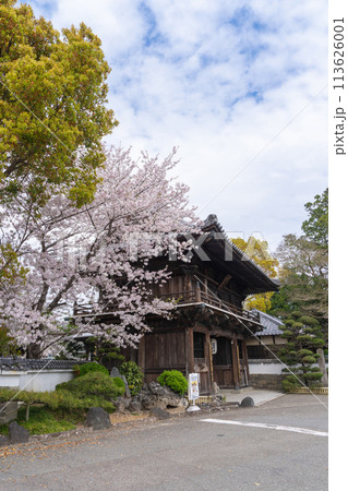 【第1番札所】桜咲く霊山寺 仁王門【四国八十八箇所】 【第1番札所】桜咲く霊山寺 仁王門【四国八十八箇所】 113626001