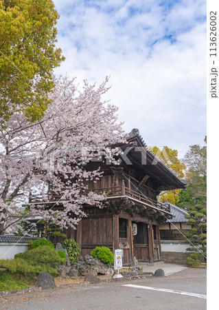 【第1番札所】桜咲く霊山寺　仁王門【四国八十八箇所】 113626002