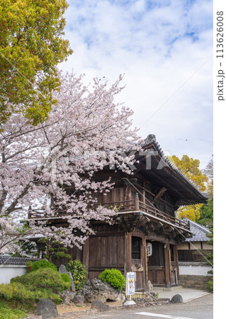【第1番札所】桜咲く霊山寺 仁王門【四国八十八箇所】 【第1番札所】桜咲く霊山寺 仁王門【四国八十八箇所】 113626008