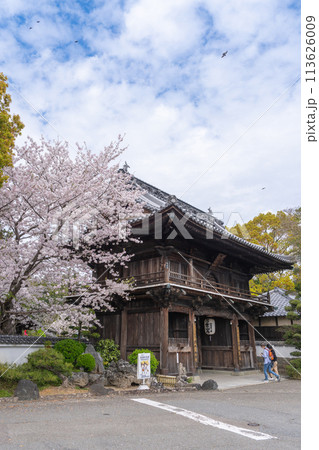 【第1番札所】桜咲く霊山寺 仁王門【四国八十八箇所】 【第1番札所】桜咲く霊山寺 仁王門【四国八十八箇所】 113626009