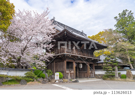 【第1番札所】桜咲く霊山寺　仁王門【四国八十八箇所】 113626013