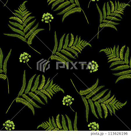 Watercolor seamless pattern with branches and leaves. Hand painted leaves and branches isolated on black background. Illustration for design, print, fabric or background. Watercolor seamless pattern with branches and leaves. Hand painted leaves and branches isolated on black background. Illustration for design, print, fabric or background. 113626196