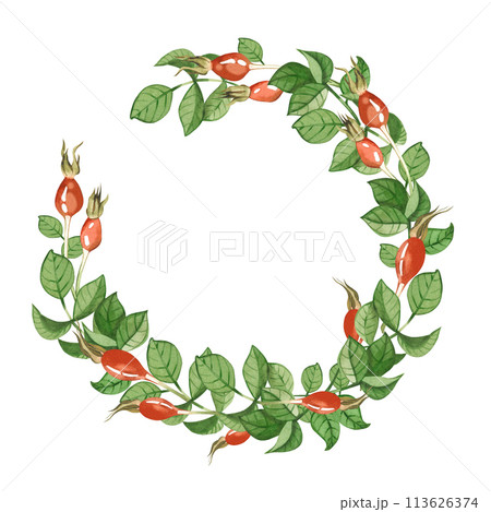 Watercolor illustration. A wreath of green rosehip leaves and red rosehips, all elements painted in watercolor on a white background. Suitable for printing on fabric and paper, textiles, design. 113626374