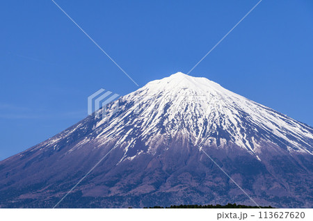 静岡県富士宮市より望む富士山の絶景 113627620