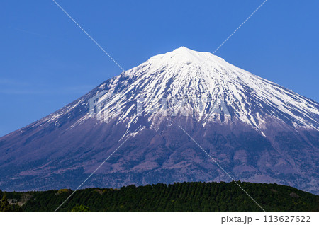 静岡県富士宮市より望む富士山の絶景 静岡県富士宮市より望む富士山の絶景 113627622