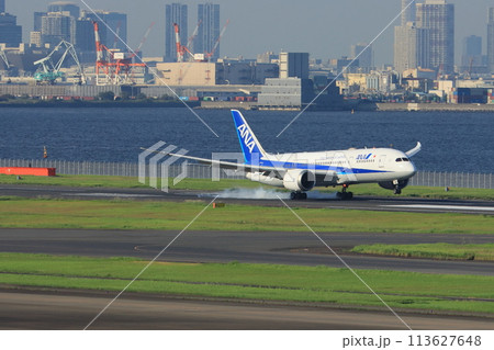 羽田空港に着陸する旅客機 113627648