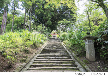 茨城　雨引観音（桜川市） 113627651