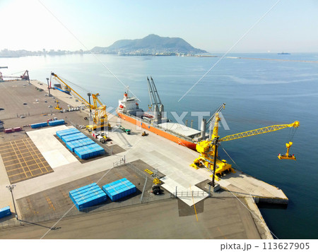 春の北海道函館市函館港港町埠頭で荷役作業中の貨物船の風景を撮影 113627905