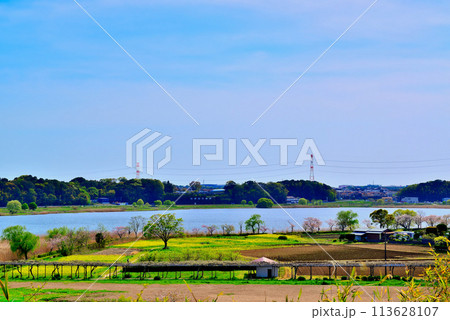 千葉県 高野山桃山公園展望台からの手賀沼の風景 千葉県 高野山桃山公園展望台からの手賀沼の風景 113628107