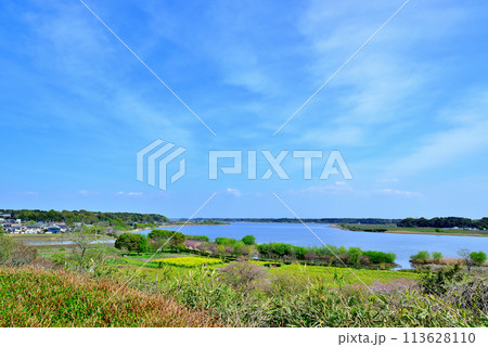 千葉県　高野山桃山公園展望台からの手賀沼の風景 113628110