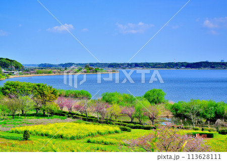 千葉県　高野山桃山公園展望台からの手賀沼の風景 113628111