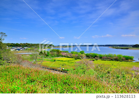 千葉県　高野山桃山公園展望台からの手賀沼の風景 113628113