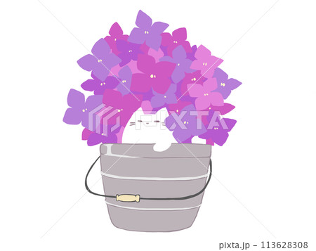 あじさいねこ 113628308